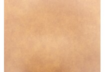 brown swatch  