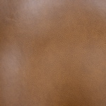 brown swatch  