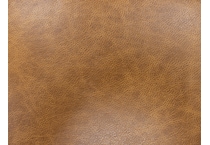 brown swatch  