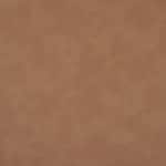 brown swatch  