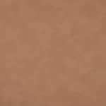 brown swatch  