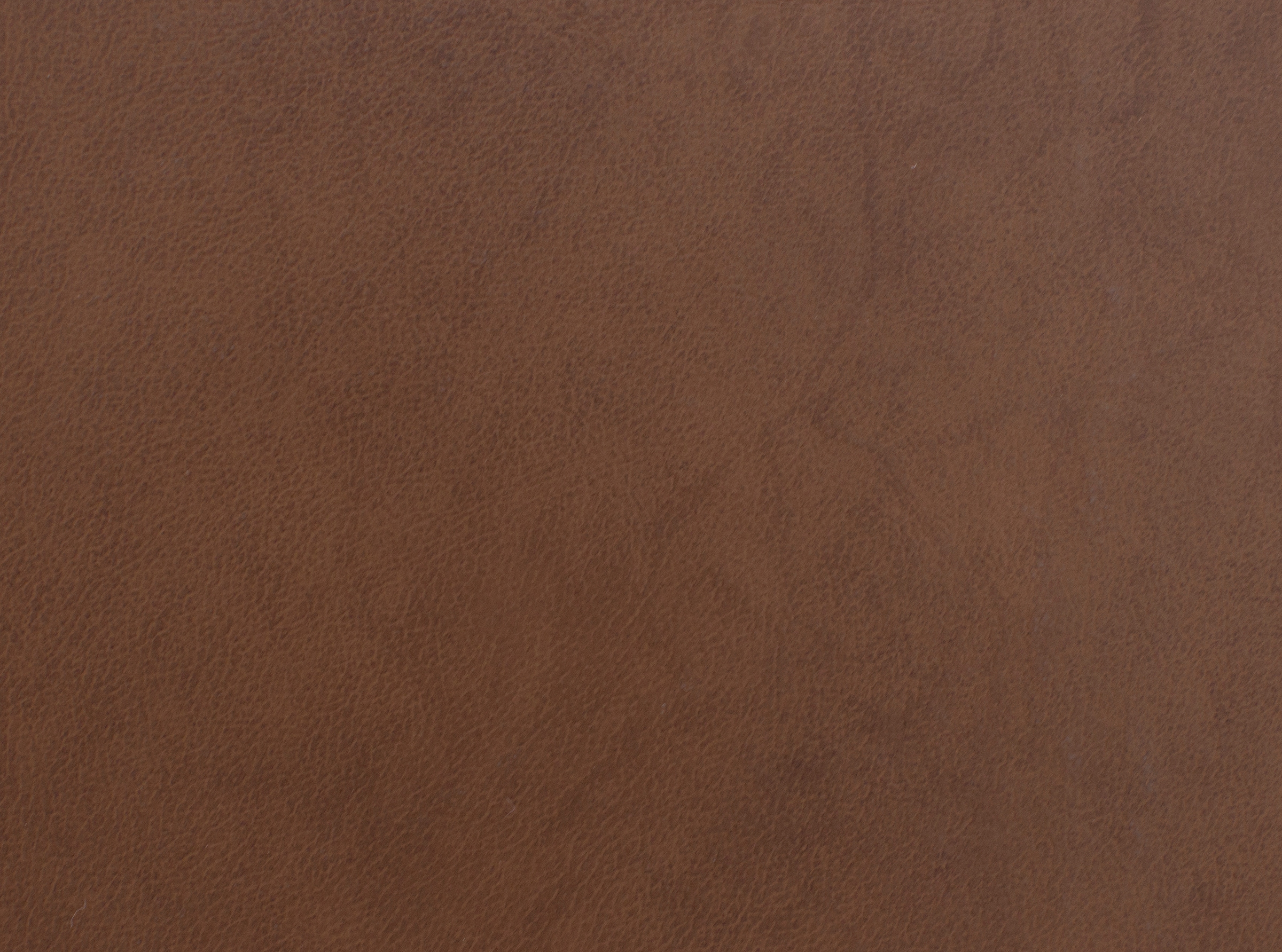 brown swatch  