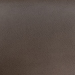 brown swatch  