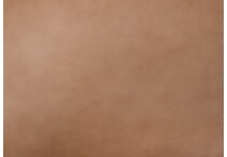 brown swatch  
