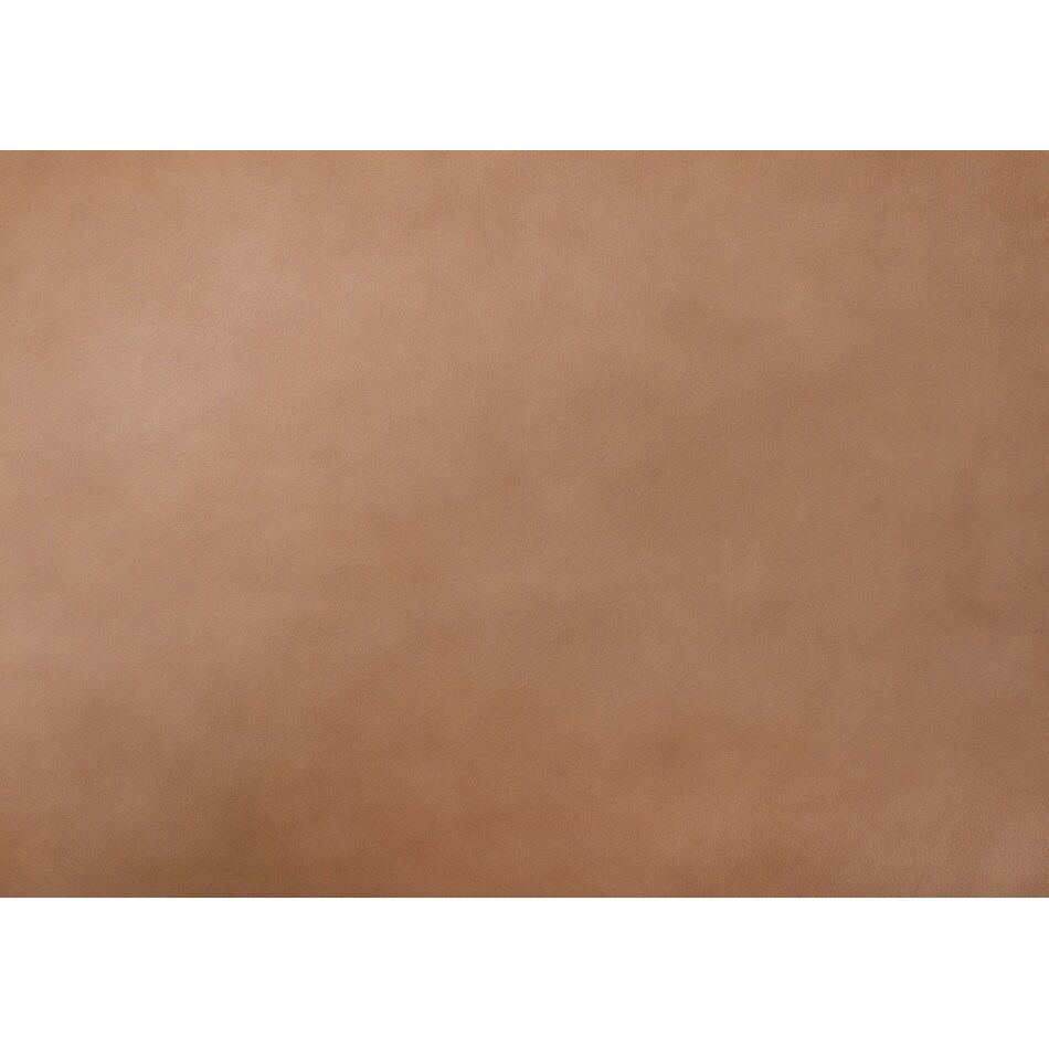 brown swatch  