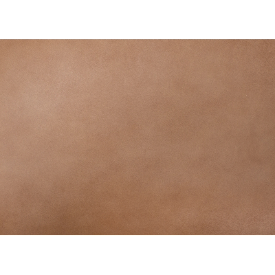 brown swatch  