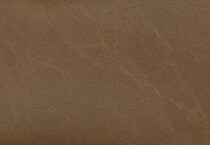 brown swatch  
