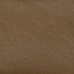 brown swatch  