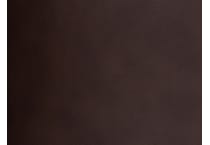 brown swatch  