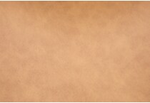brown swatch  