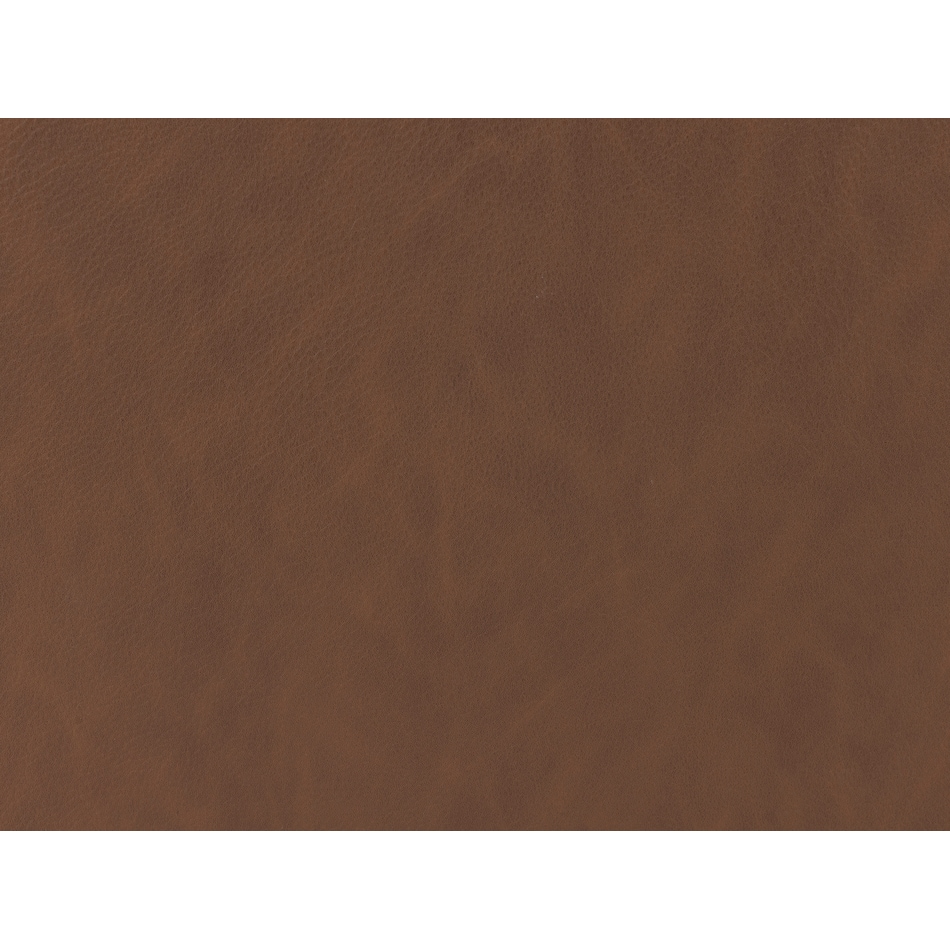 brown swatch  