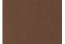 brown swatch  