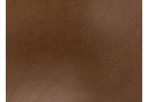 brown swatch  