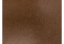brown swatch  