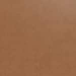 brown swatch  