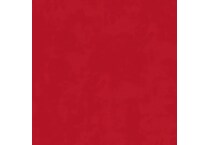 canvas jockey red swatch  