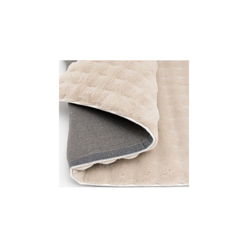 ceno beige  x    