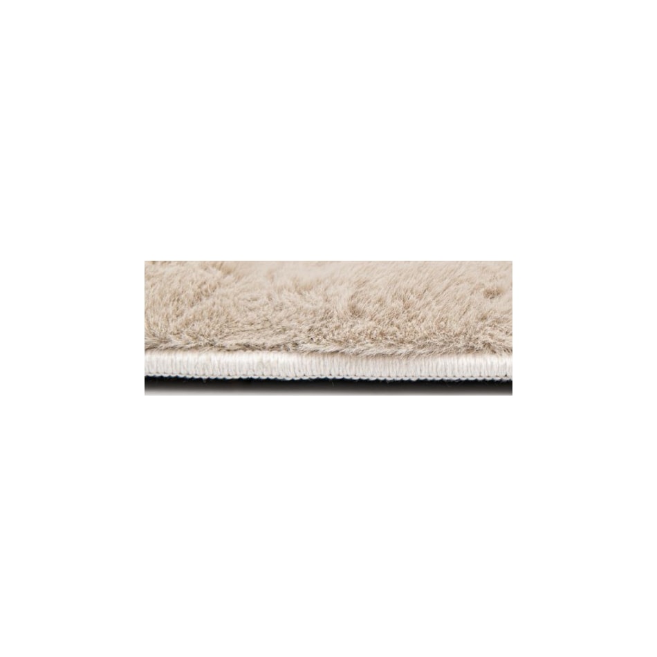 ceno beige  x    