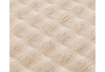 ceno beige  x    