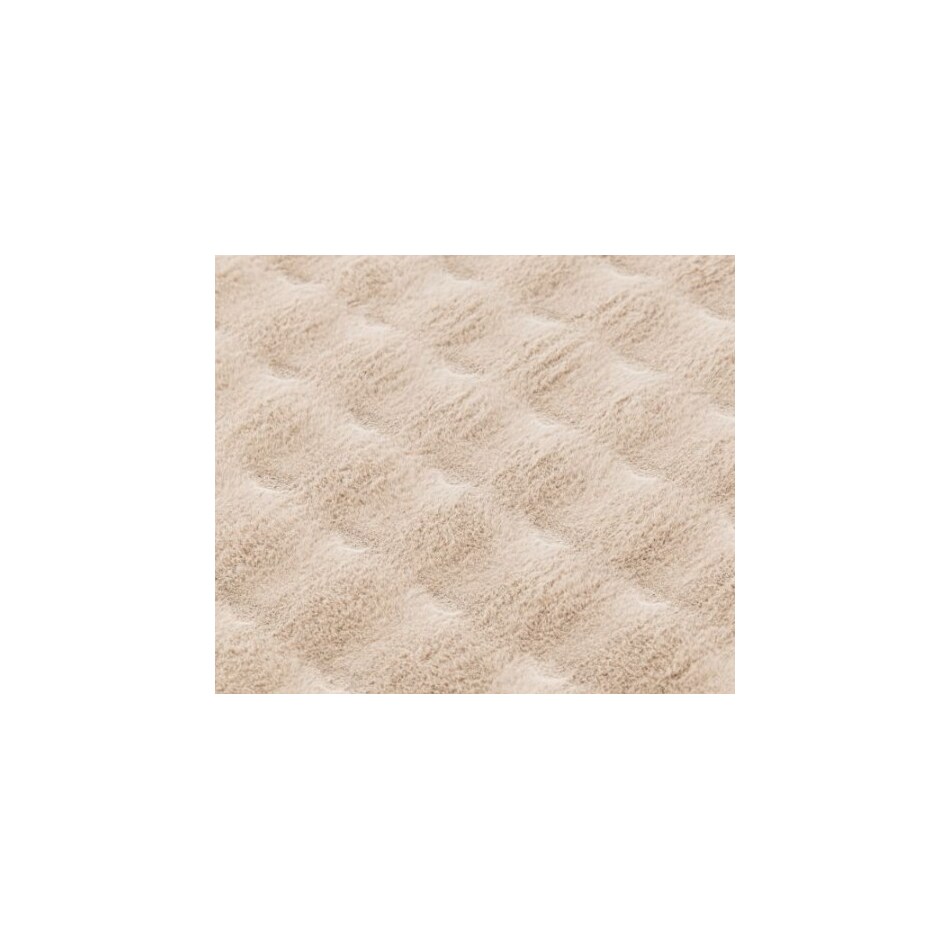 ceno beige  x    