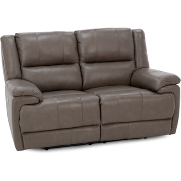 Anderson Leather Power Headrest Reclining Loveseat