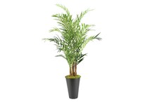 d&w silksinc green trees   