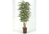 d&w silksinc green trees   
