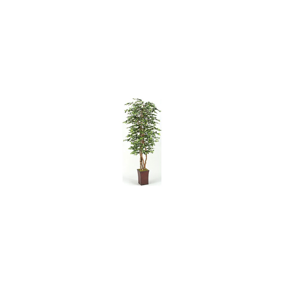 d&w silksinc green trees   