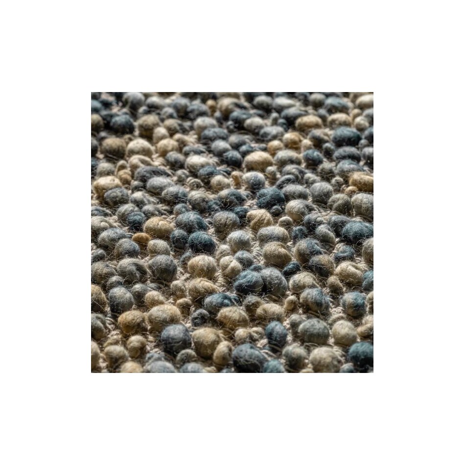 daly blue  x    