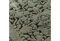 dalyn rug company green  x    