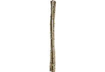 diamond star corporation brown grasses sticks greens   