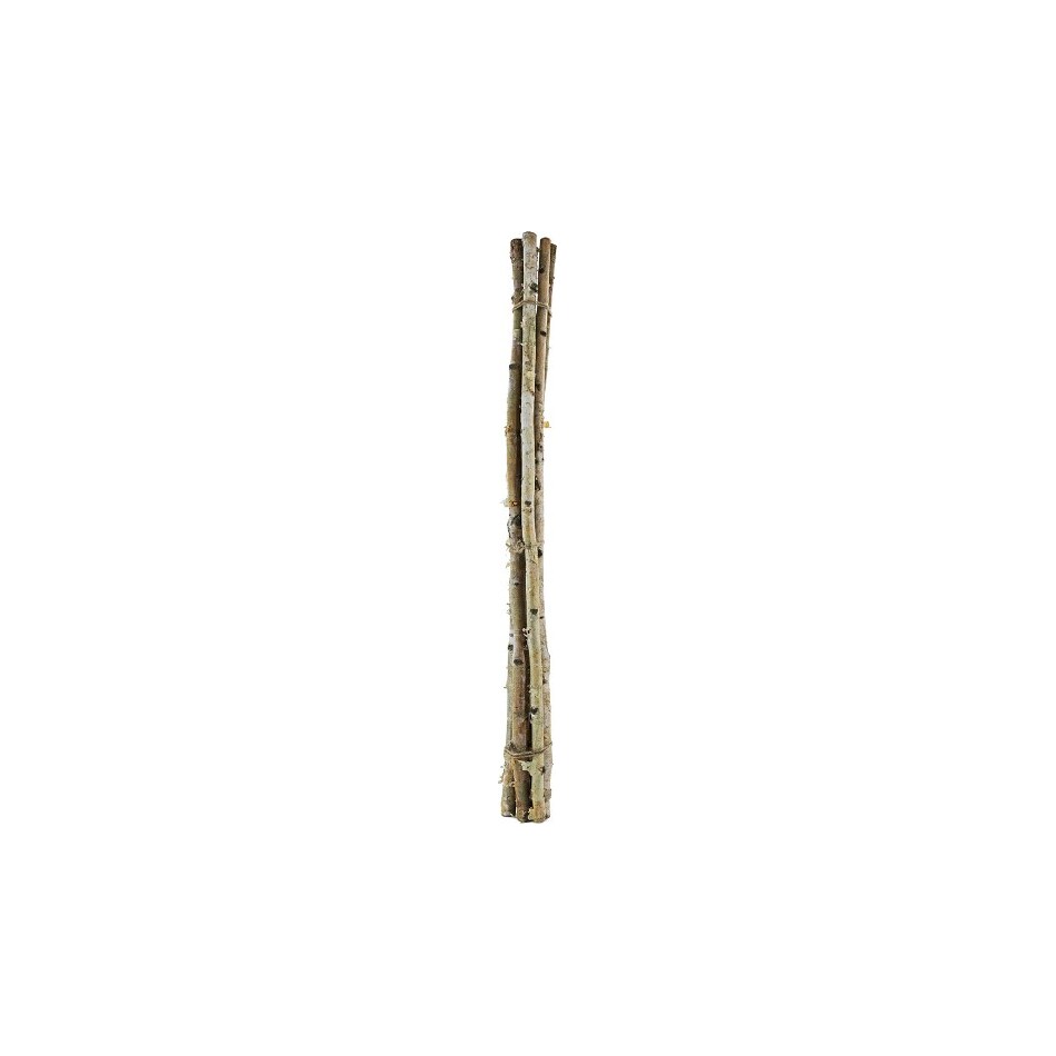 diamond star corporation brown grasses sticks greens   