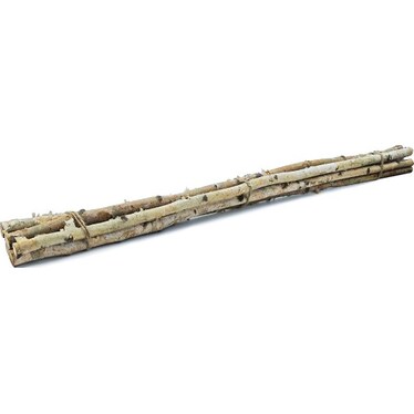 Birch Wood Bundle 48"H