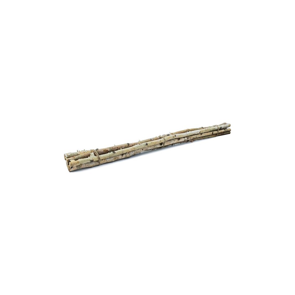 diamond star corporation brown grasses sticks greens   