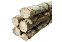 diamond star corporation brown grasses sticks greens   