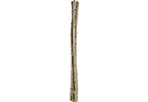 dmst brown grasses sticks greens   