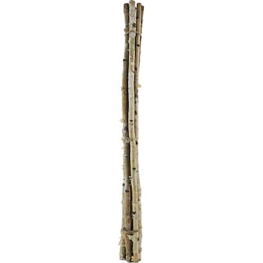Birch Wood Bundle 48"H