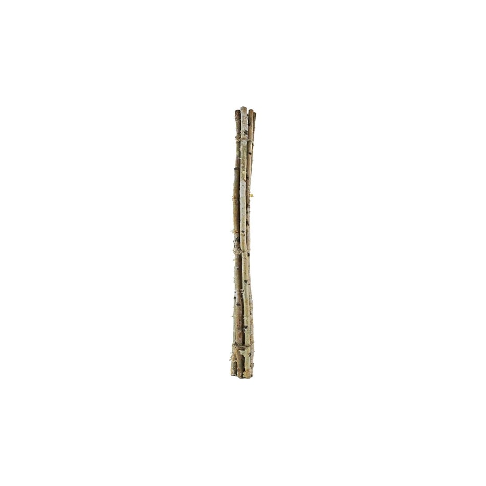 dmst brown grasses sticks greens   