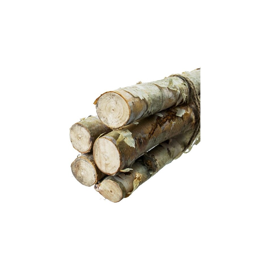 dmst brown grasses sticks greens   
