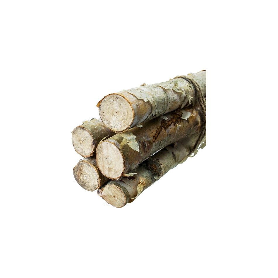 dmst brown grasses sticks greens   