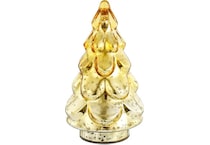 dmst gold holiday   