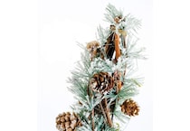 dmst green holiday   