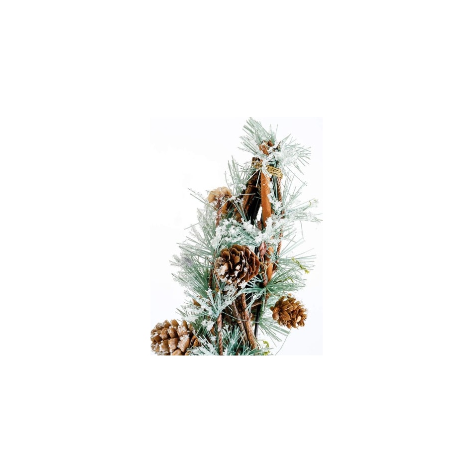 dmst green holiday   