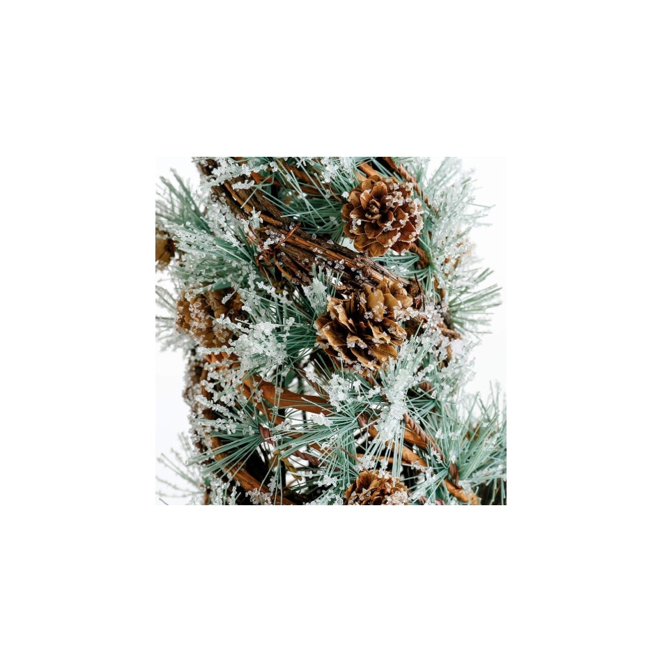 dmst green holiday   