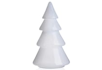 dmst white holiday   