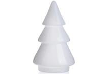 dmst white holiday   