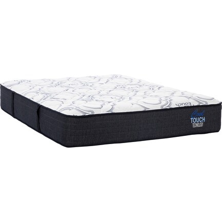 Dreams Affinity Firm 2.0 Twin Mattress