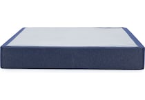 dreams good blue queen pkg  