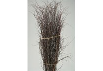 dwsk brown grasses sticks greens   