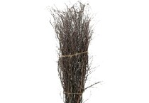 dwsk brown grasses sticks greens   